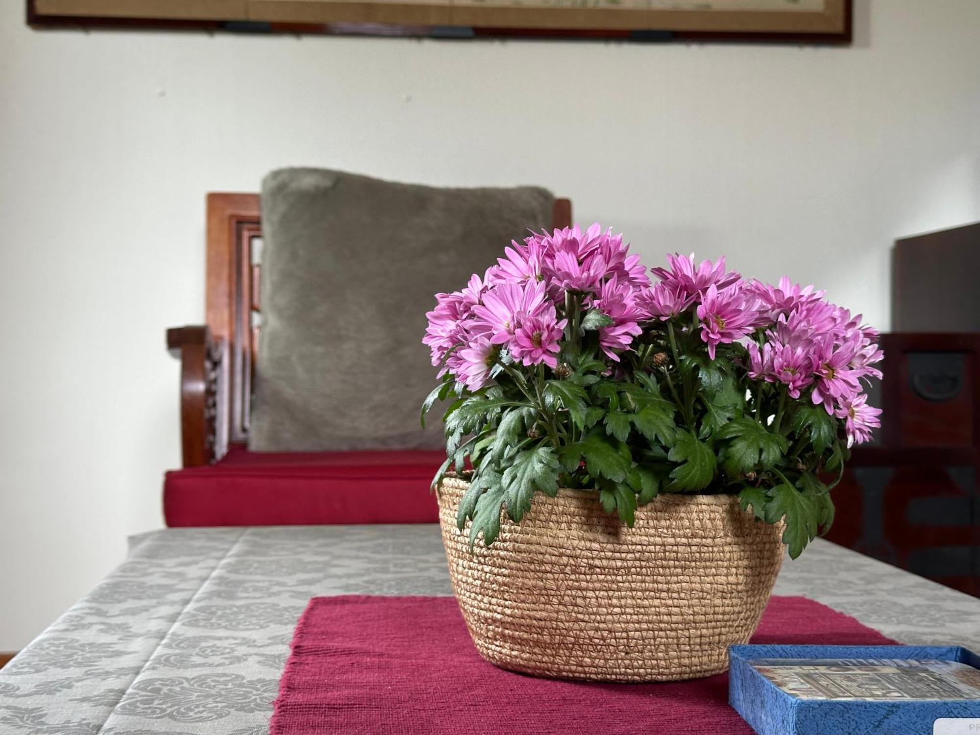 Lovely Fully Furnished Apartment Ottestad 外观 照片